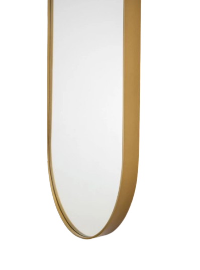 Pill Mirror (100cm x 60cm) - Oval Wall Mirror - Black & Gold Metal Frame